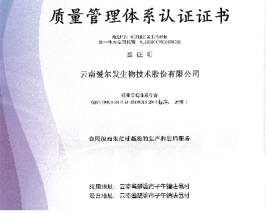 �����|���ܿ��wϵ